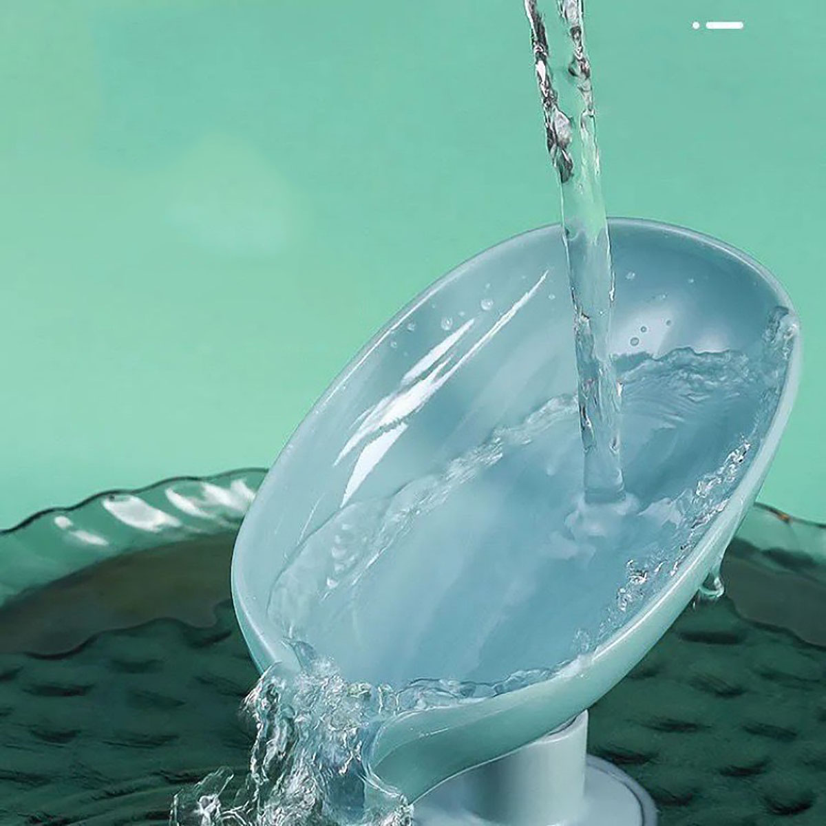 Leaf Shape Soap Box Drain Soap - Soap Making Box review and price